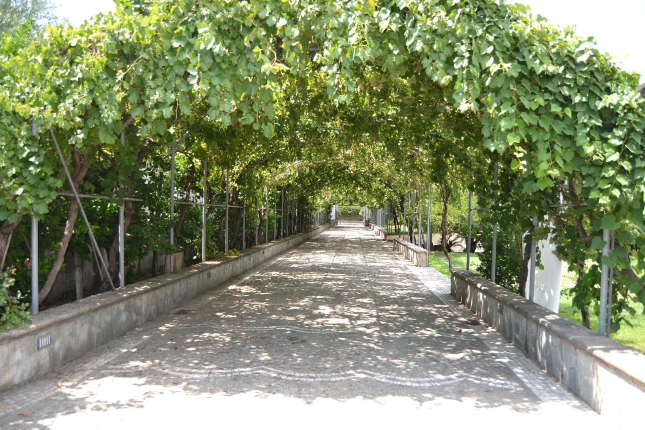 Vila I Giardini Del Vesuvio Somma Vesuviana Exteriér fotografie